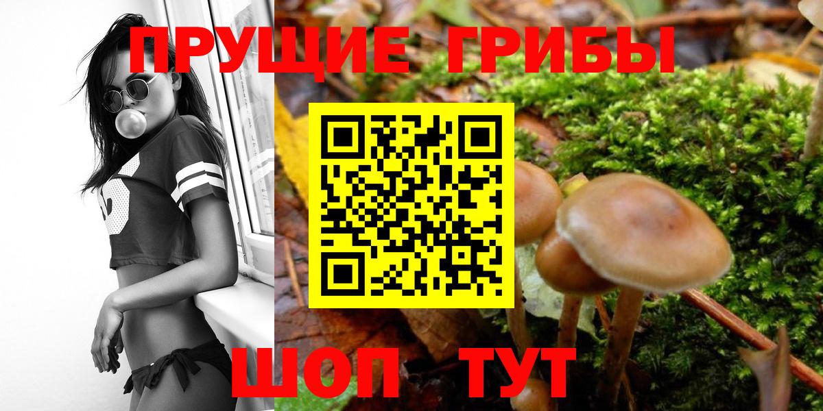 Псилоцибиновые грибы Cubensis  Вход с VPN  Астрахань 